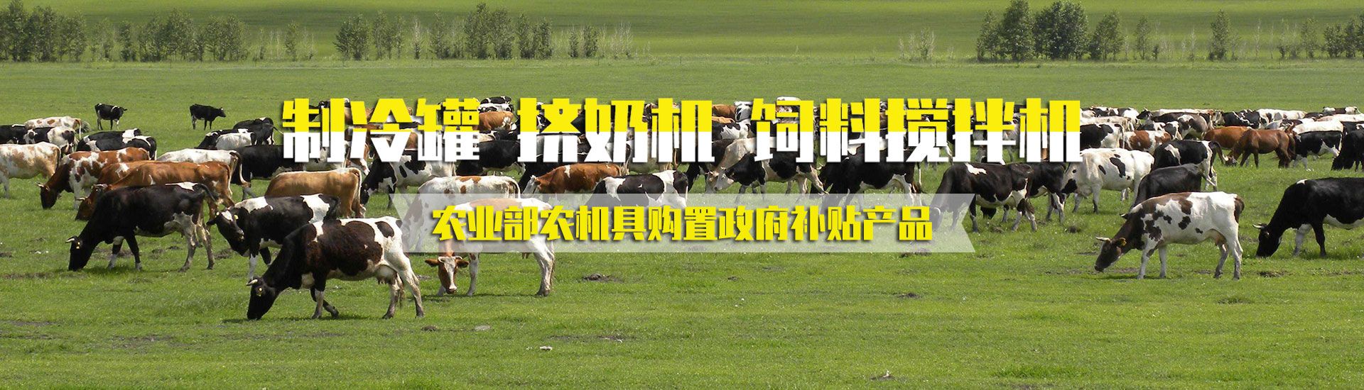 91看片在线网站机械